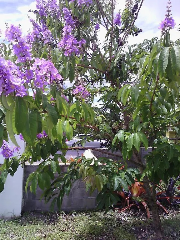 Aparthotel Caribbean Holiday Apartment St. John's