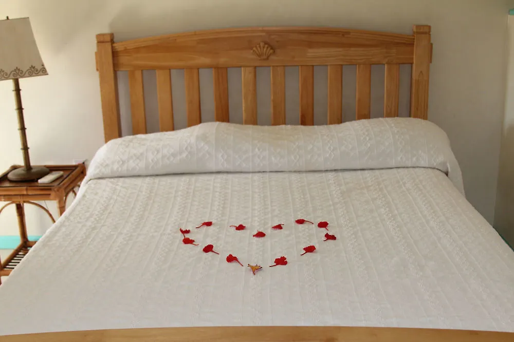 Caribbean Holiday Apartment St. John's Aparthotel