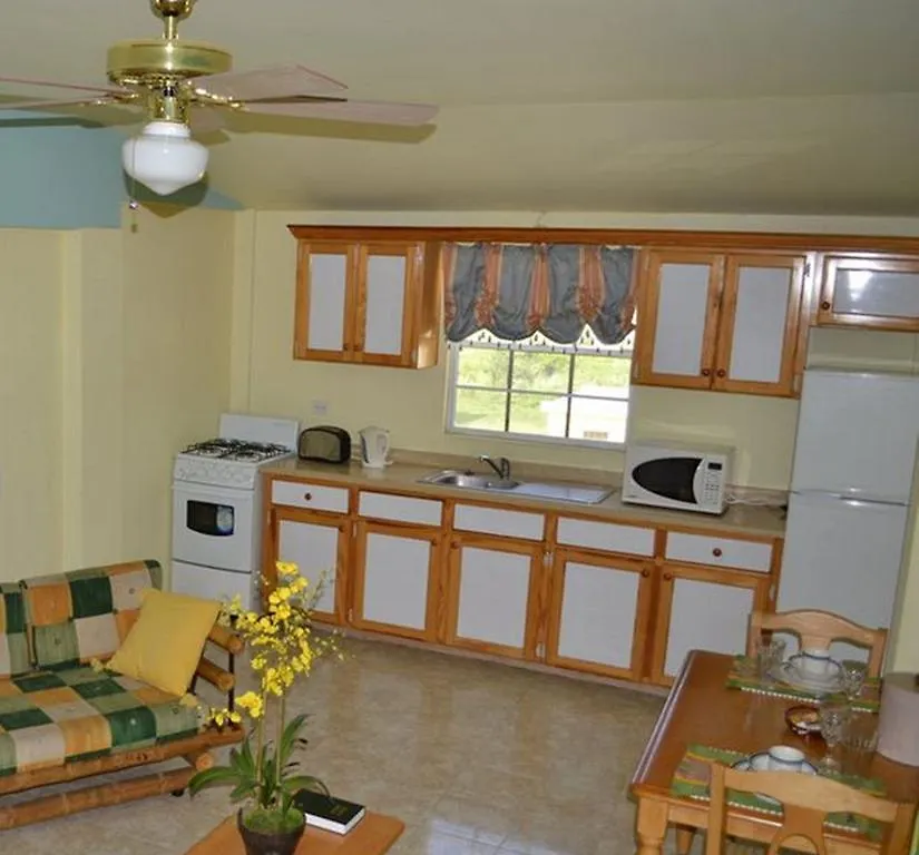 Caribbean Holiday Apartment St. John's